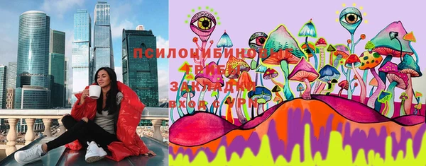 гидра Алексин
