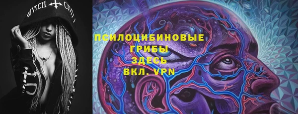 гидра Алзамай