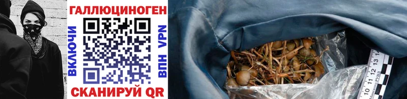 Псилоцибиновые грибы ЛСД  Родники 