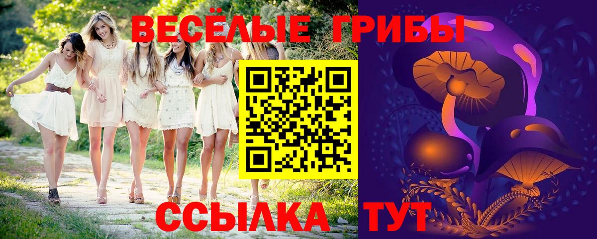 Галлюциногенные грибы мицелий  Вход с VPN  Родники 
